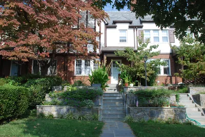 DSC_10018 (Large).JPG